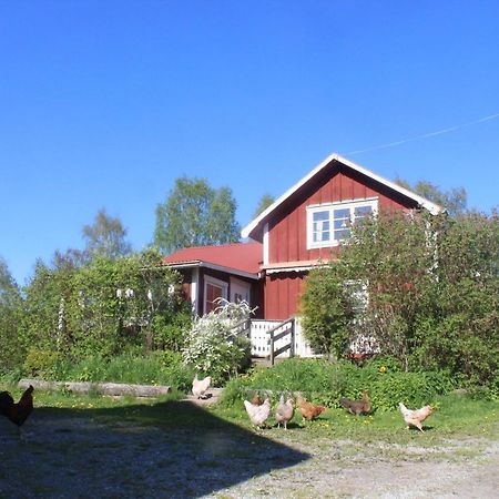 Boende Naera Romme Alpin Och Andra Friluftsaktiviteter I Dalarna Smedjebacken Екстериор снимка